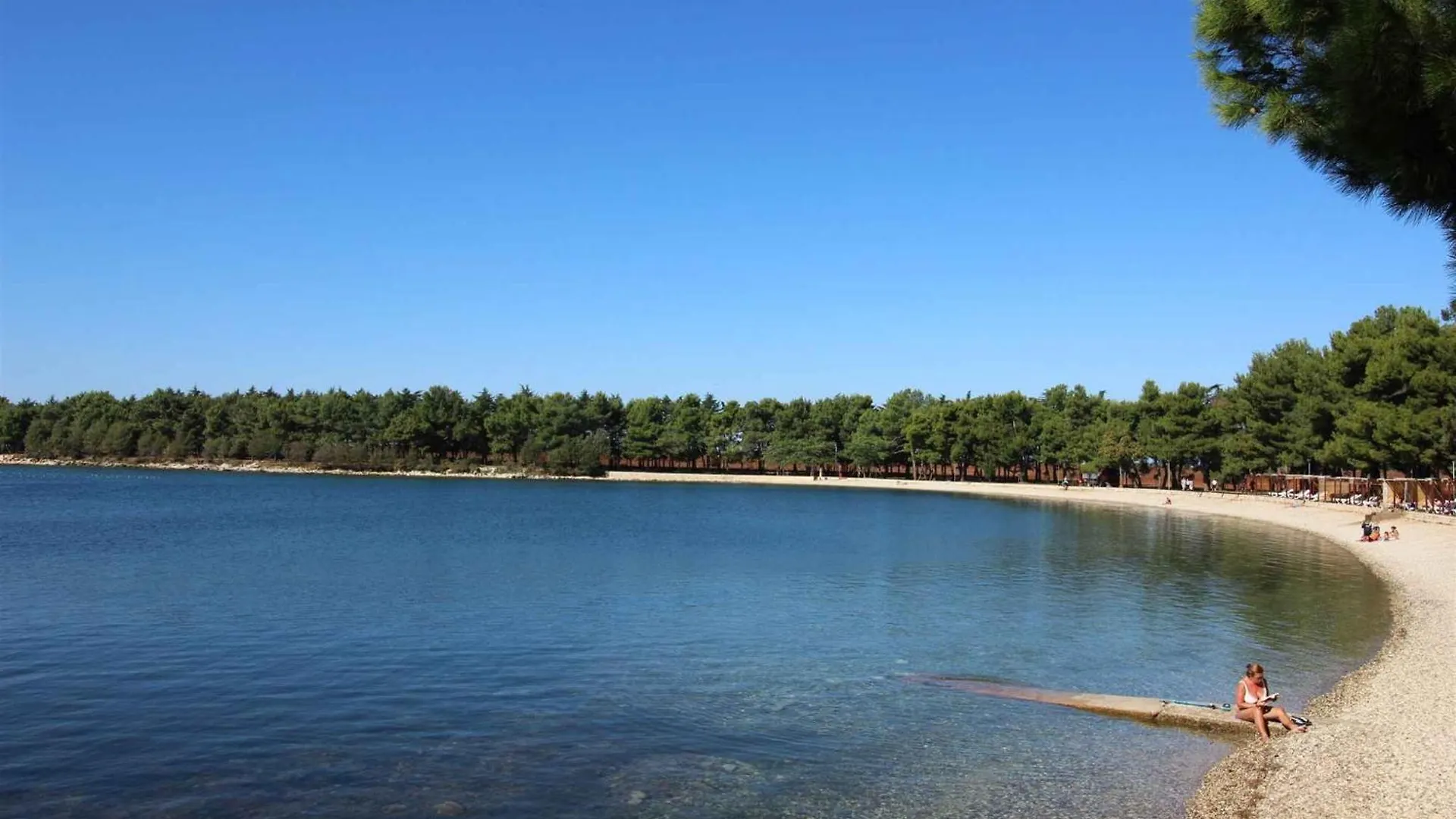 Apartment In Novigrad/Istrien 9505 Karpinjan